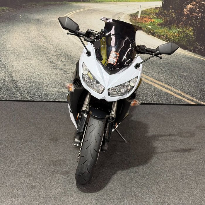 2013 Kawasaki NINJA 1000 White