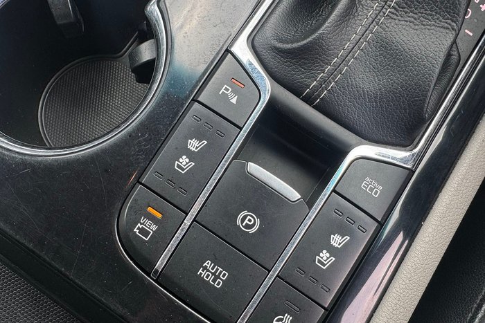 2019 Kia Carnival Platinum