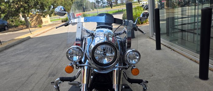 2023 Indian SPRINGFIELD BRONZE