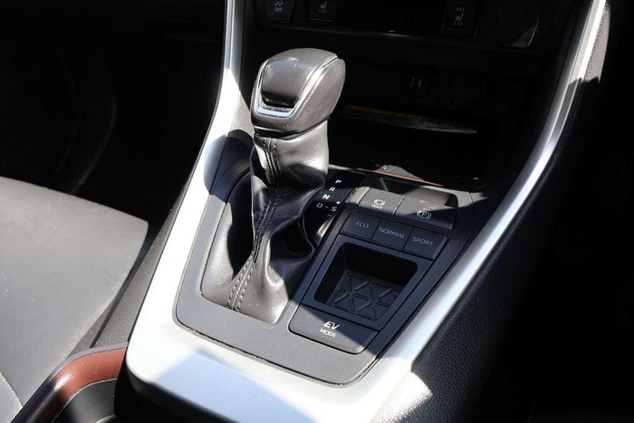 2019 Toyota RAV4 Cruiser