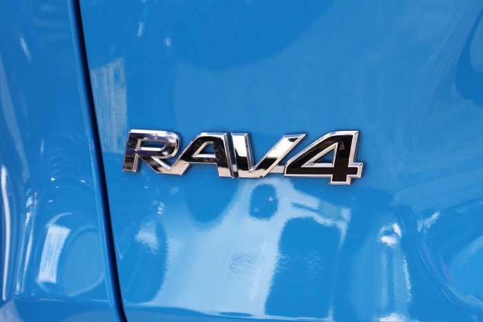 2019 Toyota RAV4 Cruiser