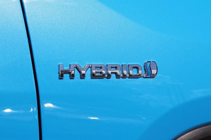 2019 Toyota RAV4 Cruiser