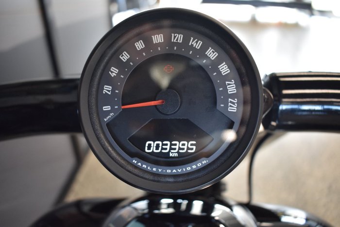 2025 HARLEY-DAVIDSON FXBR BREAKOUT (117)