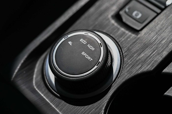 2023 GWM Ute Cannon-L CC