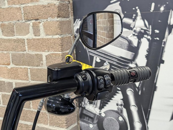 2019 Harley-Davidson Street Bob 107 (FXBB) Softail Black