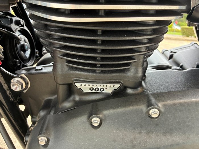 2024 Triumph BONNEVILLE SPEED TWIN Green