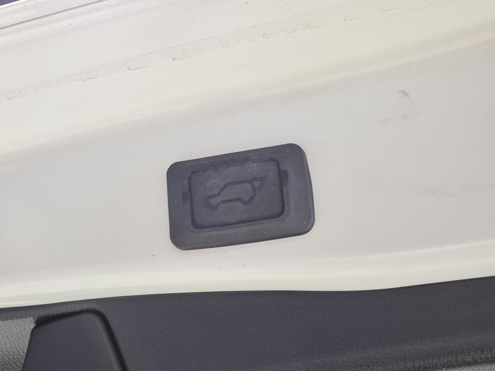 2022 Toyota RAV4 Cruiser