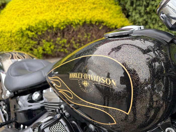 2016 HARLEY-DAVIDSON FXSB SOFTAIL BREAKOUT Gold