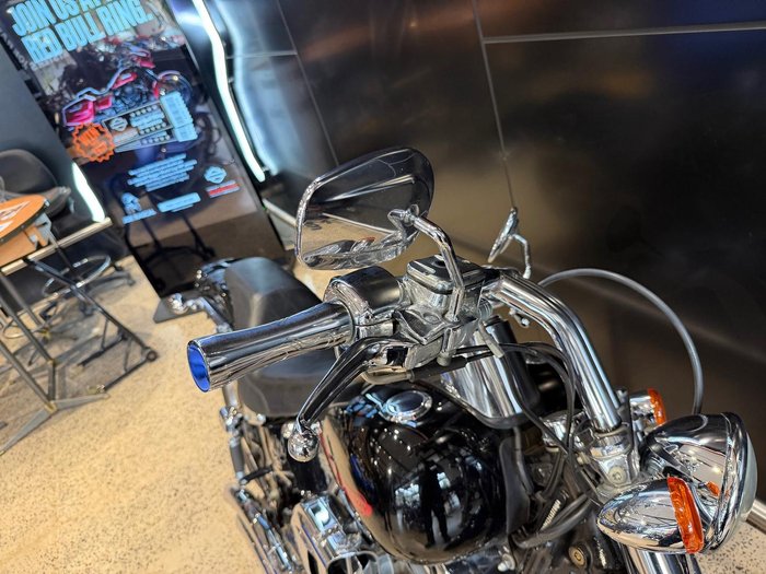 Harley-Davidson Softail Standard 1584 EFI (FXSTI) Softail