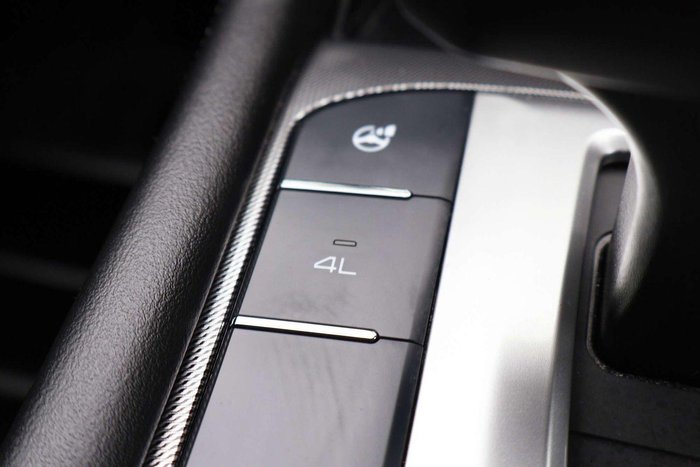 2023 GWM Ute Cannon-X