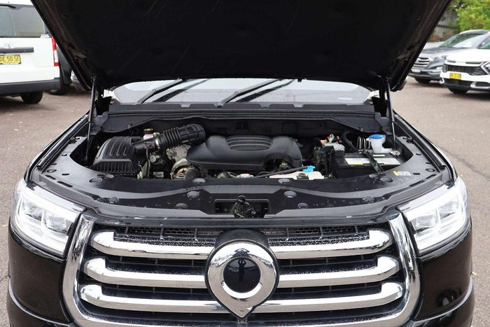 2023 GWM Ute Cannon-X