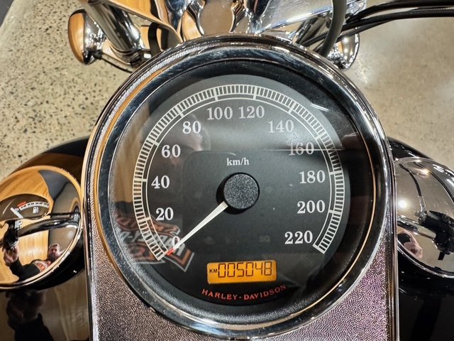 2011 HARLEY-DAVIDSON FXST SOFTAIL STANDARD