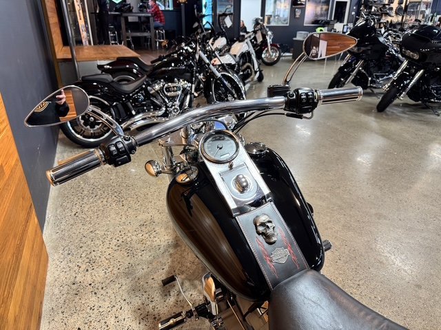 2011 HARLEY-DAVIDSON FXST SOFTAIL STANDARD