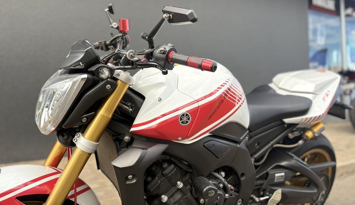 2010 Yamaha FZ1N
