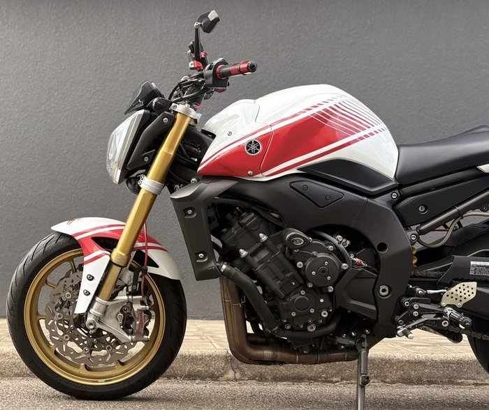 2010 Yamaha FZ1N