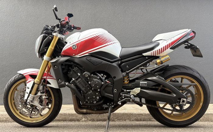 2010 Yamaha FZ1N
