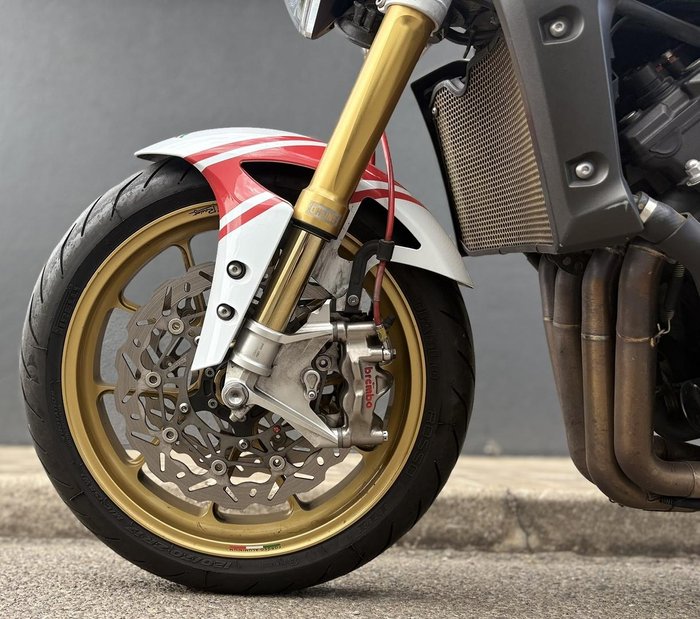 2010 Yamaha FZ1N