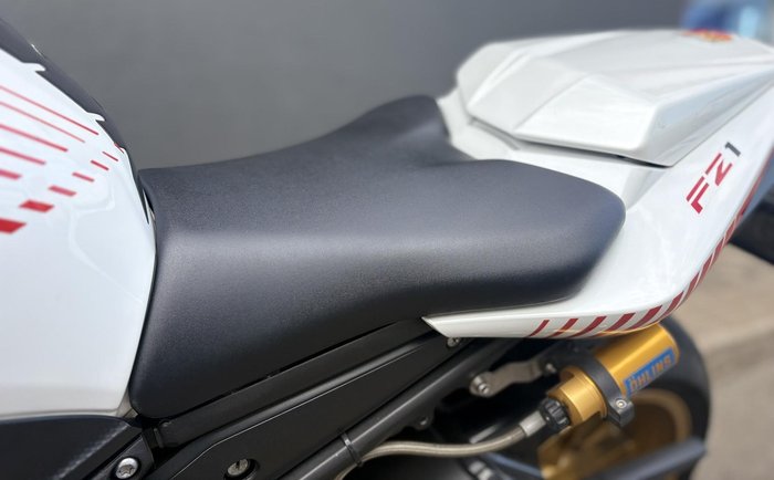 2010 Yamaha FZ1N