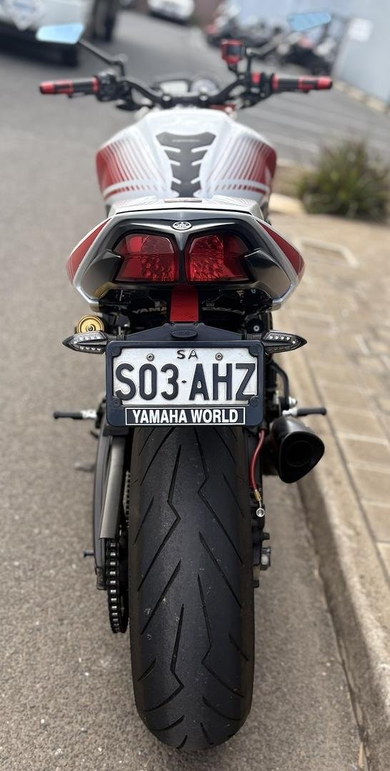 2010 Yamaha FZ1N