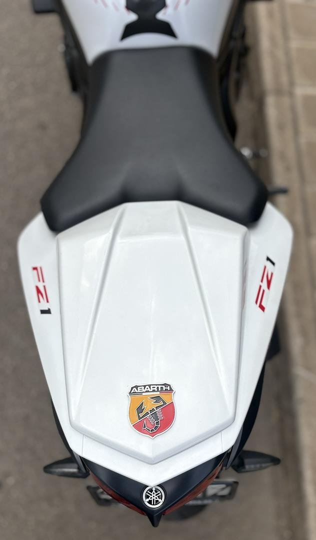 2010 Yamaha FZ1N