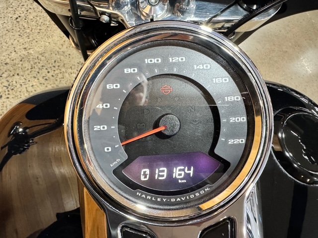 2023 HARLEY-DAVIDSON FLSB SPORT GLIDE (107)