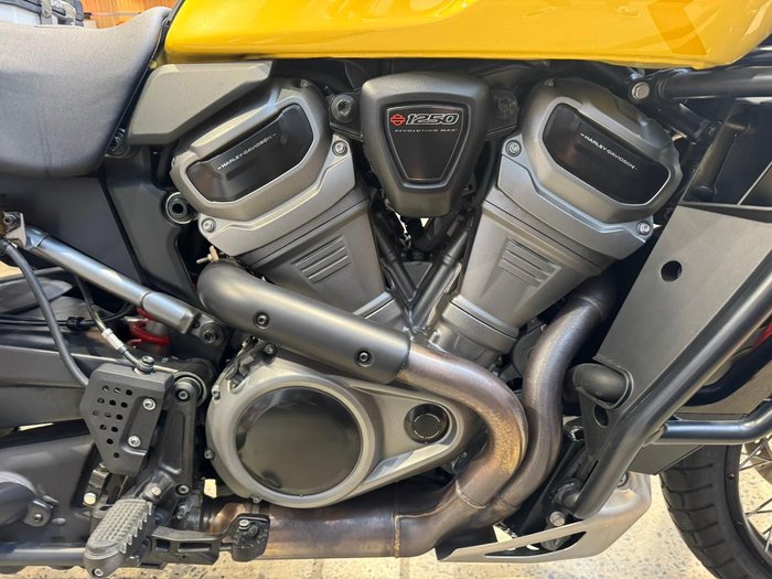 2023 Harley-Davidson Pan America 1250 Special Pan America White