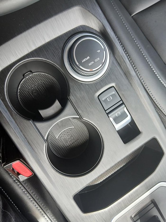 2024 GWM Ute Cannon-L CC