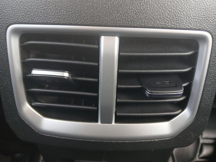 2024 GWM Ute Cannon-L CC