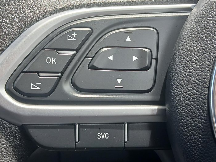 2024 GWM Ute Cannon-L CC