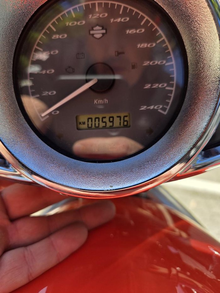 2007 Harley-Davidson Screamin' Eagle V-Rod 1250 (VRSCSE)