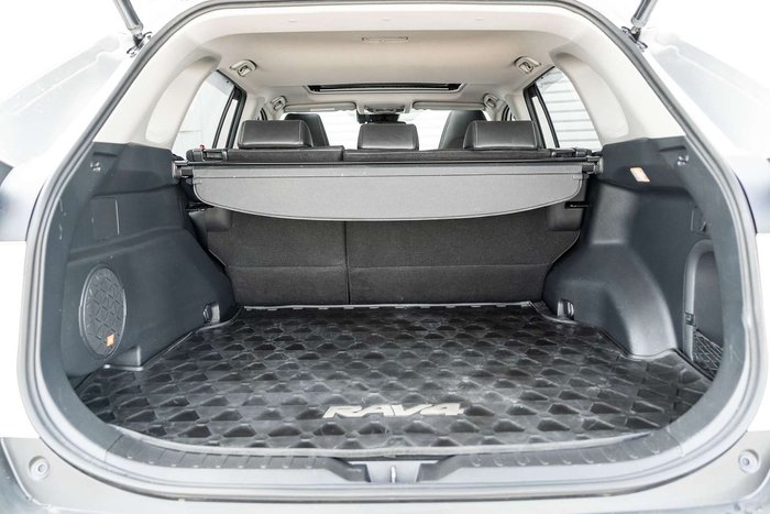 2020 Toyota RAV4 Cruiser