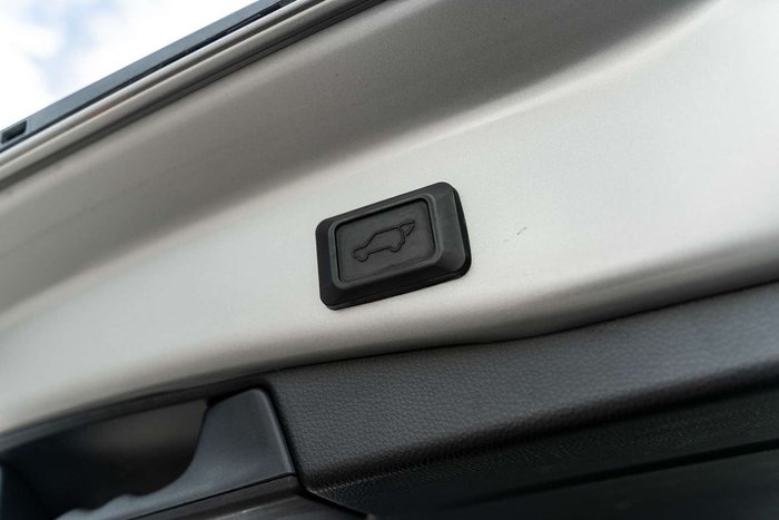 2020 Toyota RAV4 Cruiser