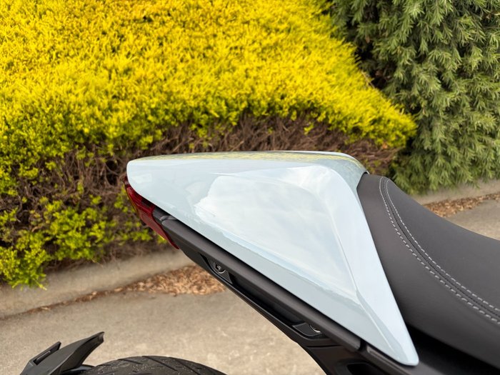 2024 Indian FTR SPORT Grey