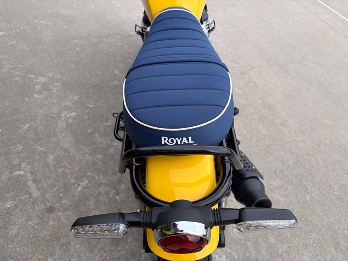2026 Royal Enfield BEAR 650 Yellow