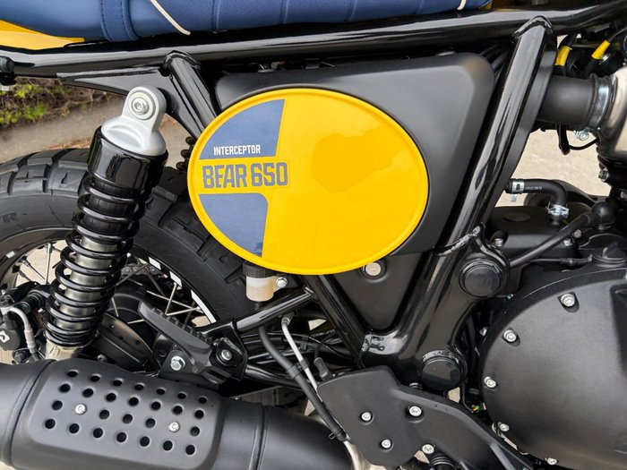 2026 Royal Enfield BEAR 650 Yellow