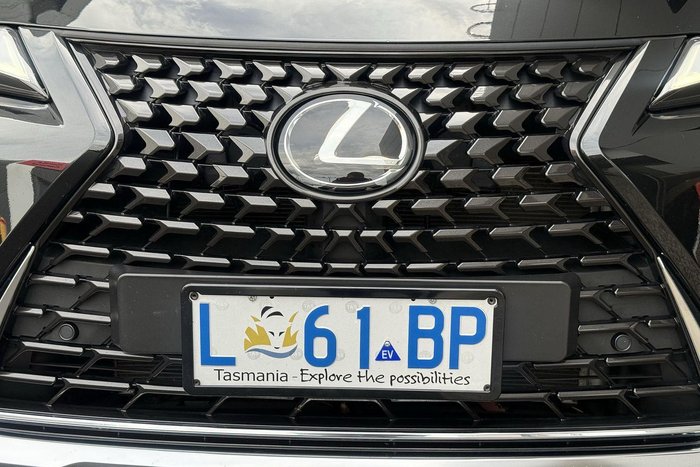 2023 Lexus UX 250h Luxury