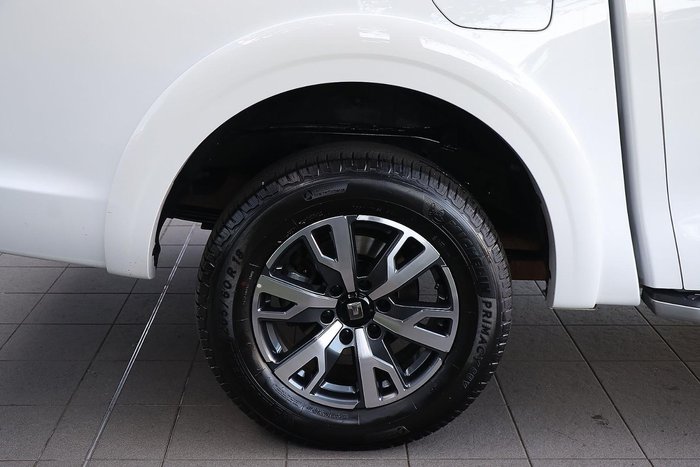 2021 GWM Ute Cannon