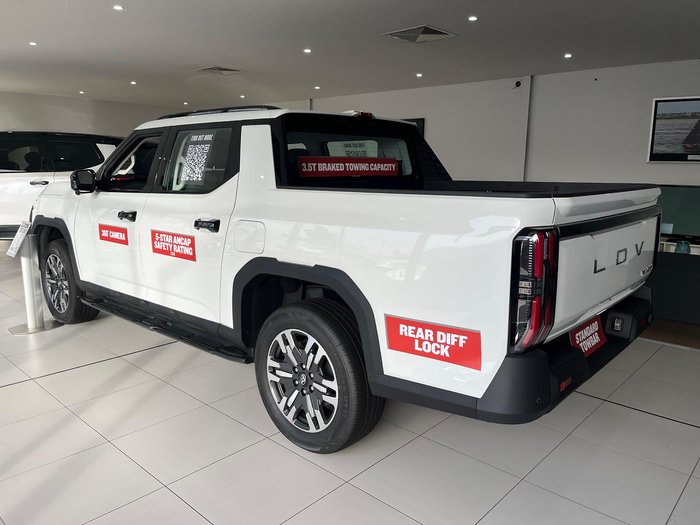 2025 LDV Terron 9 Evolve