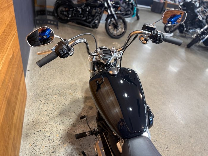 2022 HARLEY-DAVIDSON FXST SOFTAIL STANDARD (107)