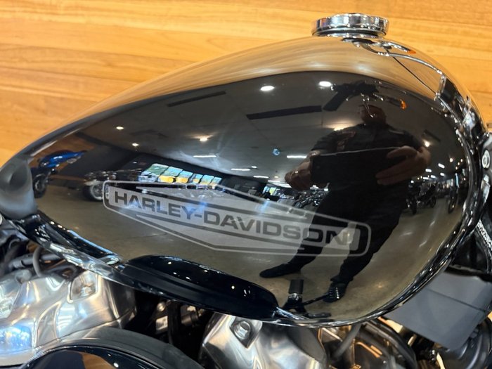 2022 HARLEY-DAVIDSON FXST SOFTAIL STANDARD (107)