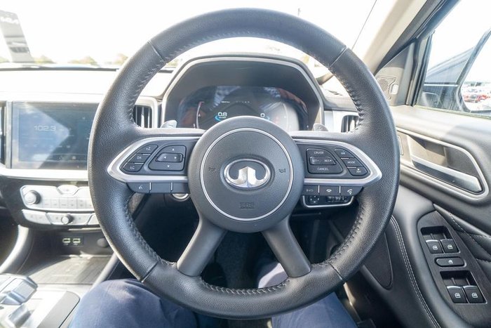 2021 GWM Ute Cannon-X