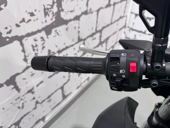 2025 Kawasaki Z500 (ER500) Z Green