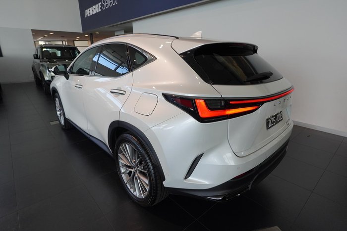 2024 Lexus NX 350h Sports Luxury