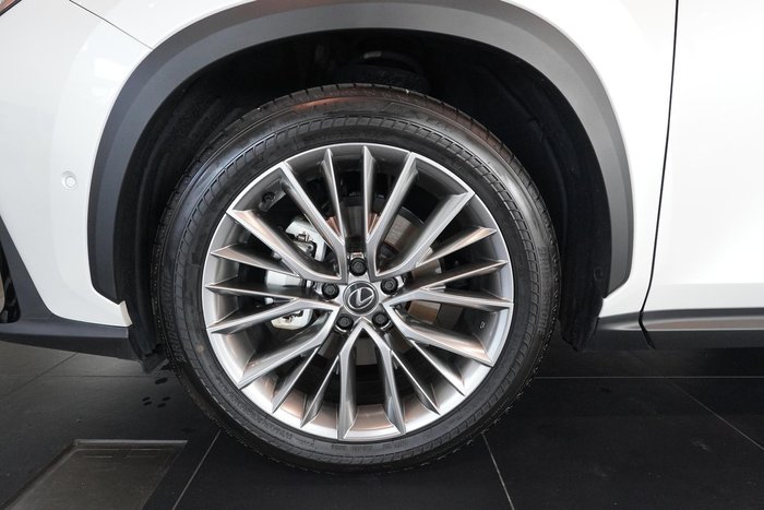 2024 Lexus NX 350h Sports Luxury
