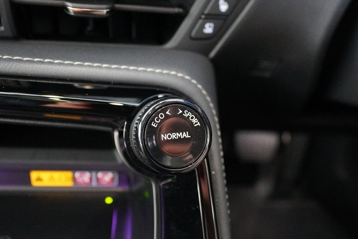 2024 Lexus NX 350h Sports Luxury