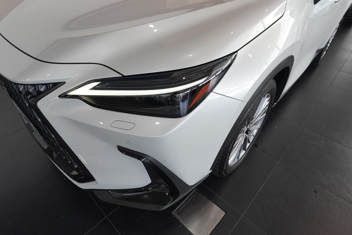 2024 Lexus NX 350h Sports Luxury