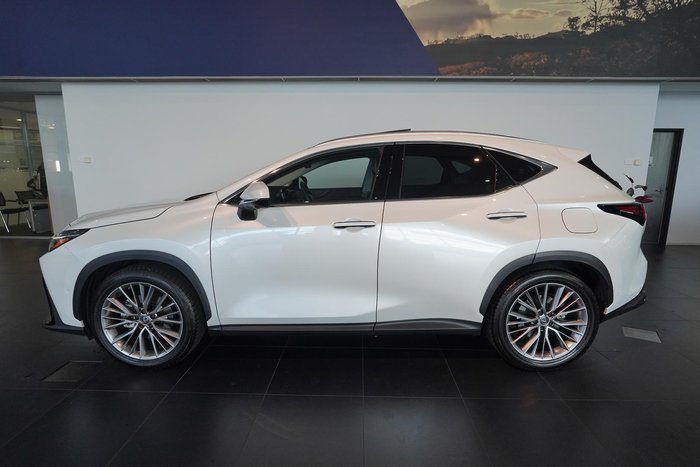 2024 Lexus NX 350h Sports Luxury