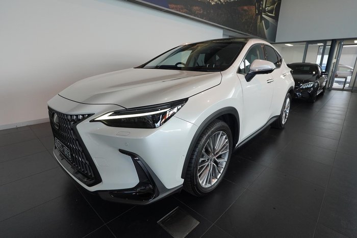 2024 Lexus NX 350h Sports Luxury