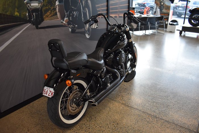 2020 HARLEY-DAVIDSON FLSL SOFTAIL SLIM (107)