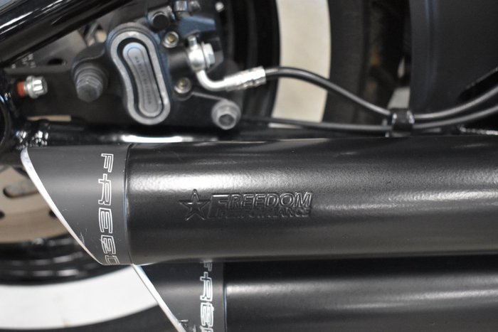 2020 HARLEY-DAVIDSON FLSL SOFTAIL SLIM (107)